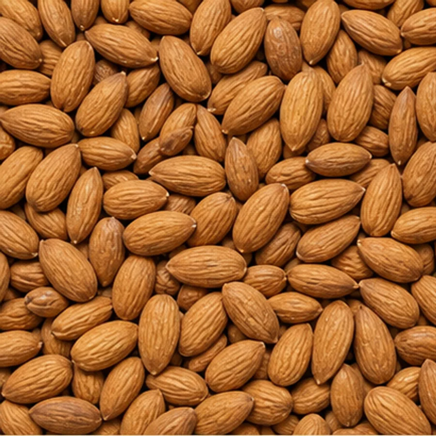 Close view of whole almonds for commercial supply